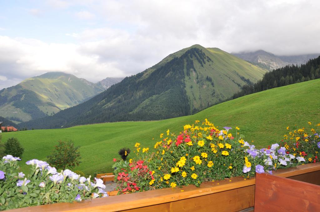 Haus Alpina Hotel แบร์วัง ห้อง รูปภาพ